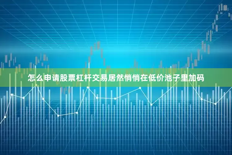 怎么申请股票杠杆交易居然悄悄在低价池子里加码